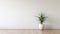 Minimalist White Wall With Large Potted Plant - Zen Minimalism