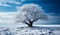 Minimalist winter landscape with a tree covered with snow. AI generated