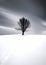 Minimalist Winter Scene with a Single Tree