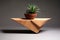 a minimalist, wooden coffee table with a potted succulent on top