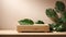 Minimalist wooden podium box with monstera leaves. Plain wood pedestal podiums with tropical leaves are suitable for cosmetic