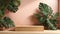 Minimalist wooden podium box with monstera leaves. Plain wood pedestal podiums with tropical leaves are suitable for cosmetic