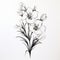 Minimalist Yucca Drawing Of Campanula Poscharskyana On White Background