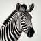 Minimalist Zebra Art: Realistic Black And White Paintings With Bold Saturation