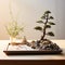 Minimalist Zen Garden with Elements of Nature's Extraordinary Phenomena