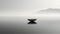 Minimalist Zen Seascape: A Floating Brain In Monochromatic Harmony