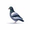 Minimalistic 2d Pigeon Icon In Dark Tonalities