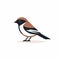 Minimalistic 2d Sparrow Icon On White Background