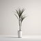 Minimalistic 3d Rendering Of Yucca Plant In White Vase