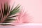 Minimalistic Abstract Background with Blurred Palm Leaf Shadows on Pink Wall