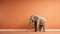 Minimalistic Animal Photography Orange Wall Behind The Elephant