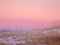 A minimalistic Arctic landscape with a curved coastline covered with sparse vegetation and a bright pink sky