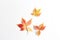 minimalistic autumn composition. beautiful leaves on a white background