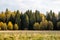 Minimalistic autumn landscape with a view of the field