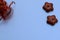 Minimalistic background chocolate gingerbread on blue background and place for object