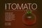 Minimalistic banner with a realistic black tomato kumato varieties