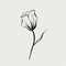 Minimalistic Black And White Tulip Drawing On White Background