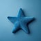 Minimalistic Blue Tufted Star Shaped Cushion On Clean Background