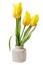 Minimalistic bouquet - mini yellow tulips flower