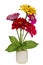 Minimalistic bouquet - mini zinnia flowers