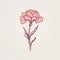 Minimalistic Carnation Drawing Design On Pink Background