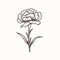 Minimalistic Carnation Sketch Drawing: Trendy Tiny Tattoo Design