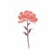 Minimalistic Carnation Vector Illustration On White Background