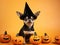 Minimalistic close up picture of cute black chihuahua pup in black witch hat sitting between jack-o-lanterns halloween