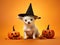 Minimalistic close up picture of cute white chihuahua pup in black witch hat sitting between jack-o-lanterns halloween