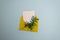 Minimalistic composition with a beautiful festive yellow mustard envelope, white blank card and sprig of greenery on a