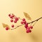 Minimalistic Cranberry Branch On Light Yellow Background
