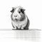 Minimalistic Digital Painting Of A Guinea Pig