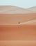 Minimalistic dromedary, camel, walking through Sahara Desert Merzouga, Morocco