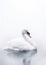 Minimalistic Elegance of a white Swan on Water. Generative AI