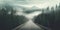 Minimalistic empty highway in the forest. Road surrounded with trees. Travel concept. Generative AI