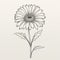 Minimalistic Gerbera Flower Sketch Illustration On White Background