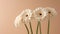 Minimalistic Gerbera Flower Stems in Pastel Tan and Warm Beige Colors AI Generated