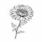 Minimalistic Gerbera Flower Tattoo Design Illustration