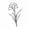 Minimalistic Gladiolus Sketch Drawing: Trendy Tattoo Design