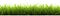 A Minimalistic Grass Close-Up Simple & Clean