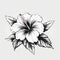 Minimalistic Hibiscus Flower Illustration In Tattoo Style