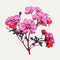 Minimalistic Illustration Of Pink Geraniums For Sale