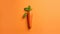 A Minimalistic Image Of A Carrot With The Word Vegan In Small Le