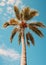Minimalistic image of palm trees against the clear blue sky. Generative Ai