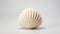 Minimalistic Japanese Knit Pattern: Large Shell In Natural Color