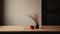 Minimalistic Japanese Style Red Vase On Table