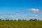 Minimalistic landscape of green meadow and blue sky with clouds with horizon according to the rule of thirds.
