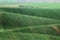 Minimalistic landscape with waves hills, green fields, South Moravia, Czech Republic