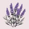 Minimalistic Lavender Flowers Illustration On Pink Background