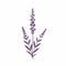 Minimalistic Lavender Icon On White Background